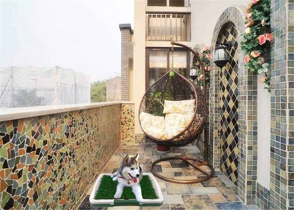 Potty Training Grass Tray for Puppies & Small Dogs