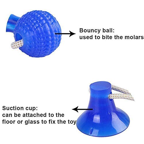 Pets Suction Cup Tug Dog Toy – Interactive Chew & Pull Toy