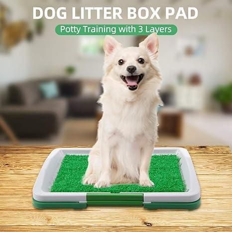 Potty Training Grass Tray for Puppies & Small Dogs