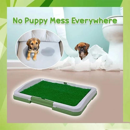 Potty Training Grass Tray for Puppies & Small Dogs