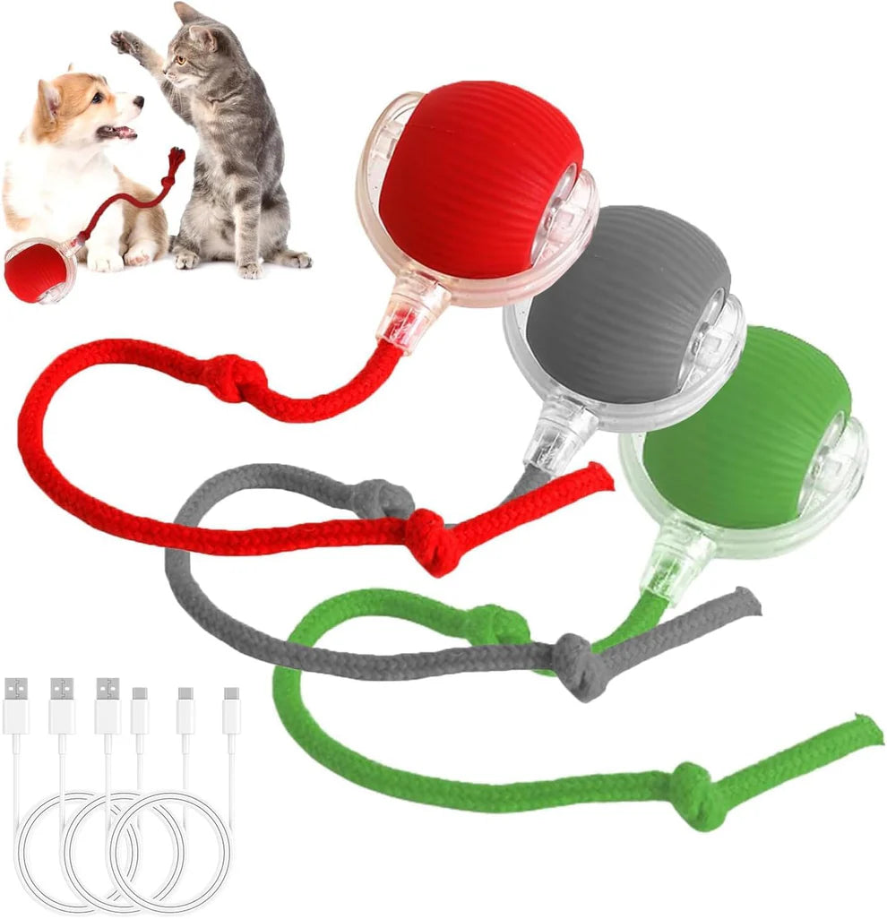 Pets Interactive Smart self Rolling Ball for Cat & Dog Toy