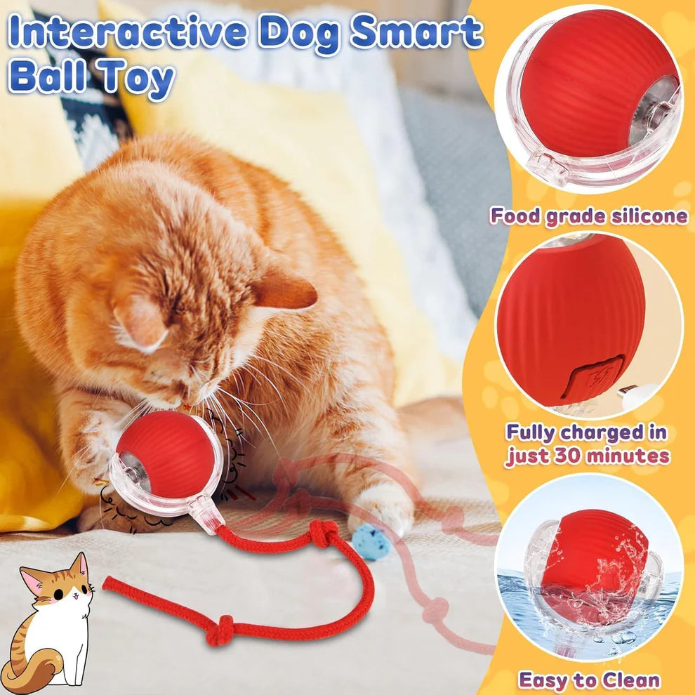 Pets Interactive Smart self Rolling Ball for Cat & Dog Toy