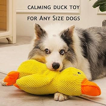 Stuffed Squeaky Plush  Dog Toy for Pets Engagement