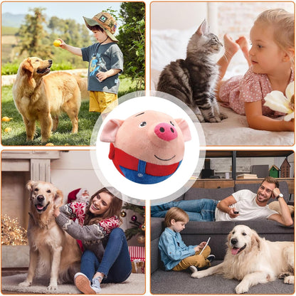 Dancing Piggy Ball Toy