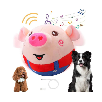 Dancing Piggy Ball Toy