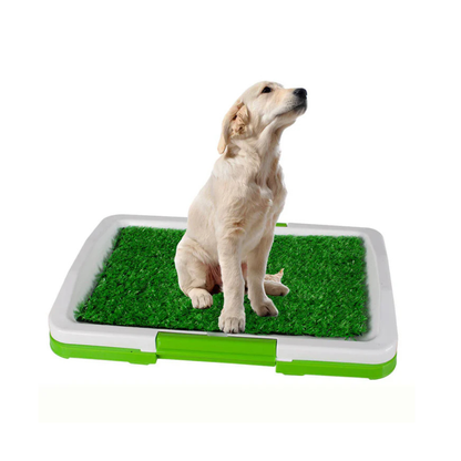 Potty Training Grass Tray for Puppies & Small Dogs