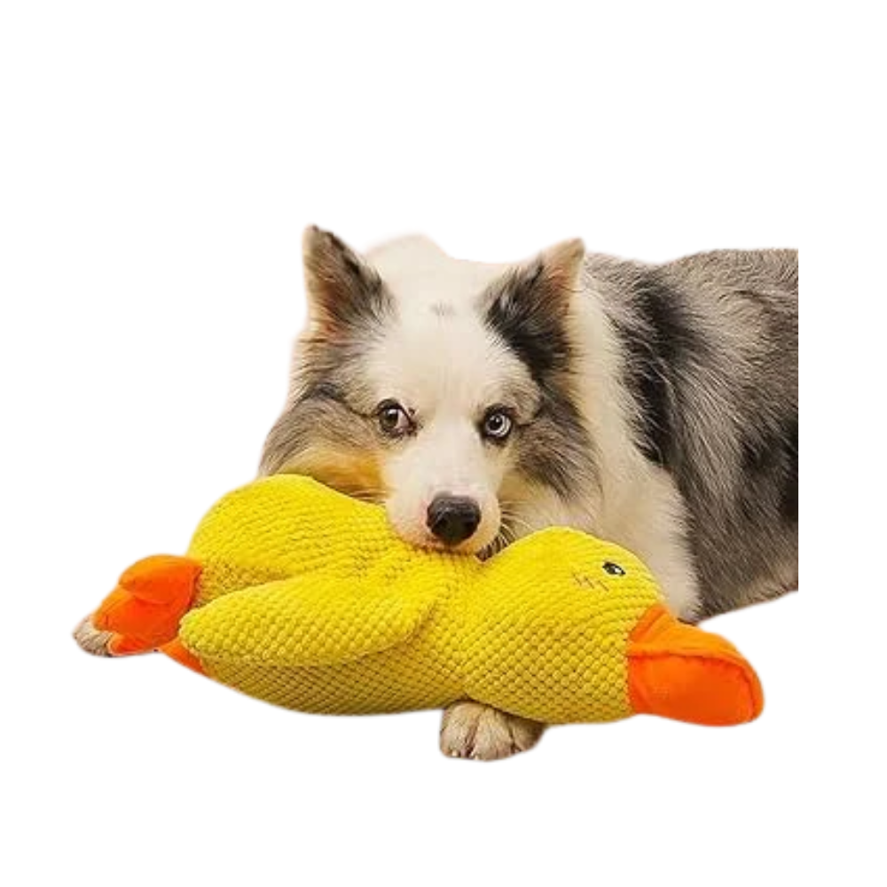 Stuffed Squeaky Plush  Dog Toy for Pets Engagement