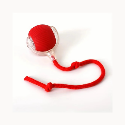 Pets Interactive Smart self Rolling Ball for Cat & Dog Toy